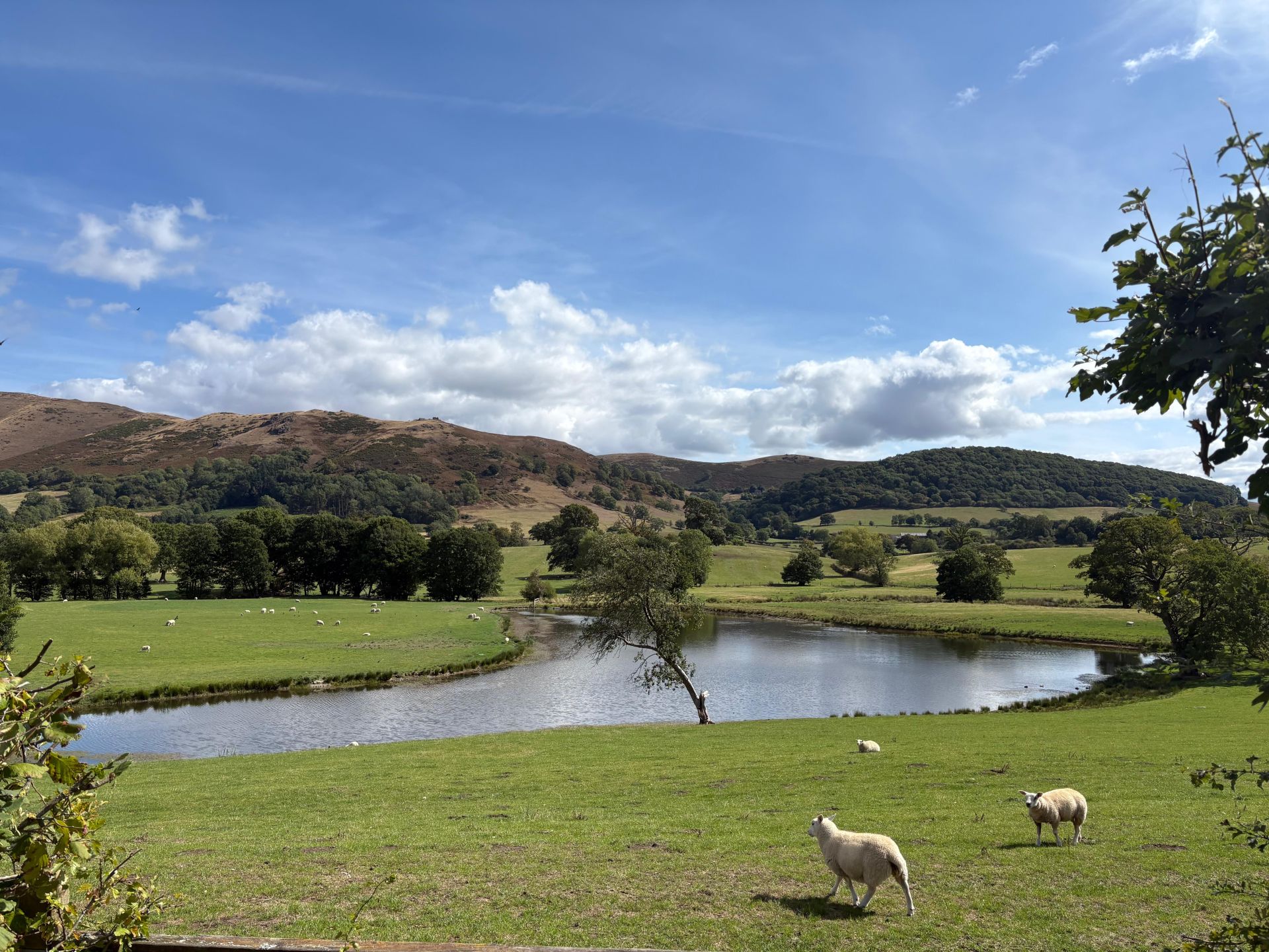 A view of a pond with Caer Caradoc in the background